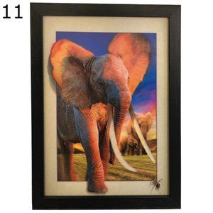 3D Photos With Frame